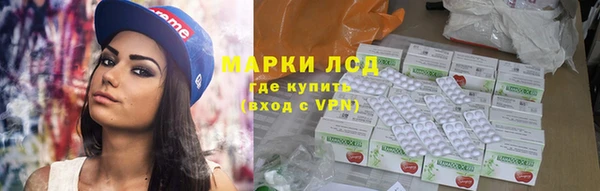 индика Арсеньев