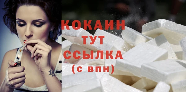 индика Арсеньев