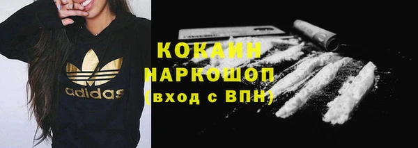 индика Арсеньев