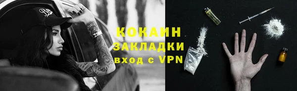 кокс Алексин