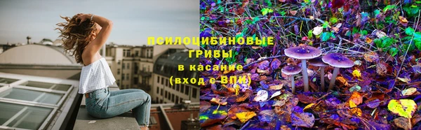 герыч Алзамай