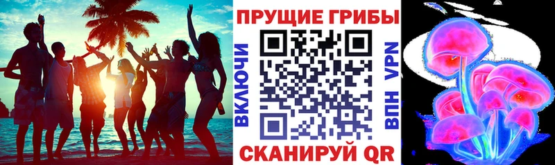 Псилоцибиновые грибы Cubensis  Новошахтинск 